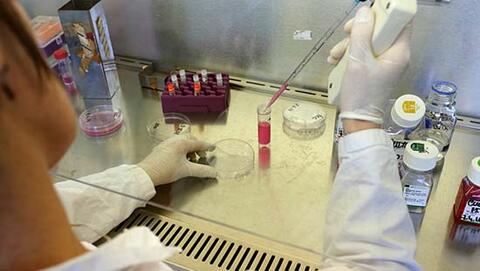 Laboratoires Laboratoires